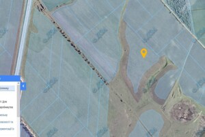 Оренда землі сільськогосподарського призначення в Старих Маяках, ціна: 19 321 грн за об’єкт фото 1