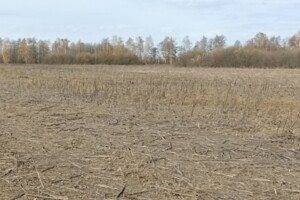 Аренда земли сельскохозяйственного назначения в Старом Майдане, цена: 24 544 грн за объект фото 1