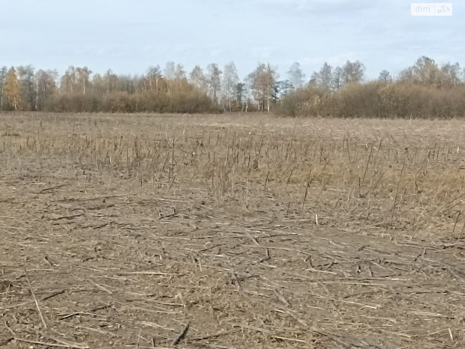 Аренда земли сельскохозяйственного назначения в Старом Майдане, цена: 24 544 грн за объект фото 1