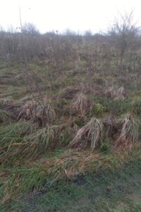 Аренда земли сельскохозяйственного назначения в Стовпеце, цена: 4 798 грн за объект фото 1