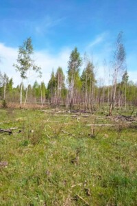 Оренда землі сільськогосподарського призначення в Стрибіжах, ціна: 30 945 грн за об’єкт фото 1