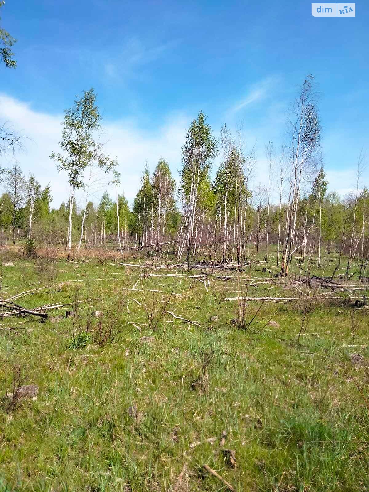 Оренда землі сільськогосподарського призначення в Стрибіжах, ціна: 30 945 грн за об’єкт фото 1