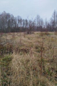 Оренда землі сільськогосподарського призначення в Стрибіжах, ціна: 32 738 грн за об’єкт фото 1