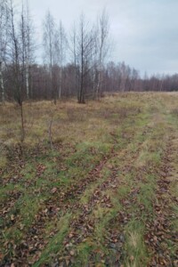 Оренда землі сільськогосподарського призначення в Стрибіжах, ціна: 30 213 грн за об’єкт фото 1