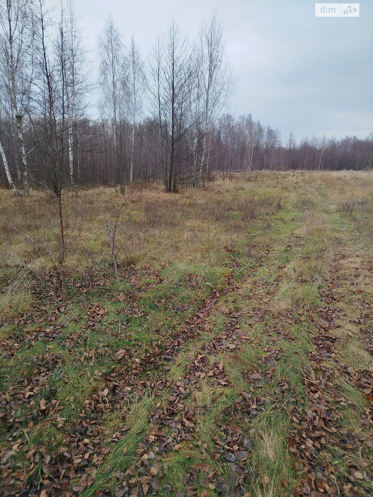 Оренда землі сільськогосподарського призначення в Стрибіжах, ціна: 30 213 грн за об’єкт фото 1