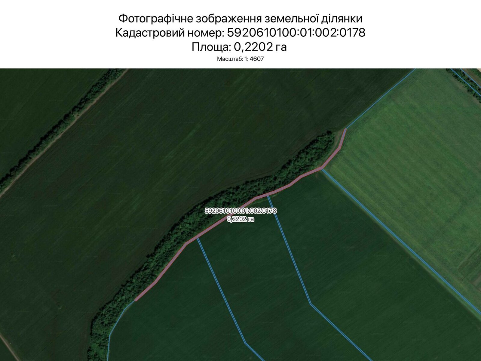Оренда землі сільськогосподарського призначення в Сумах, ціна: 896 грн за об’єкт фото 1