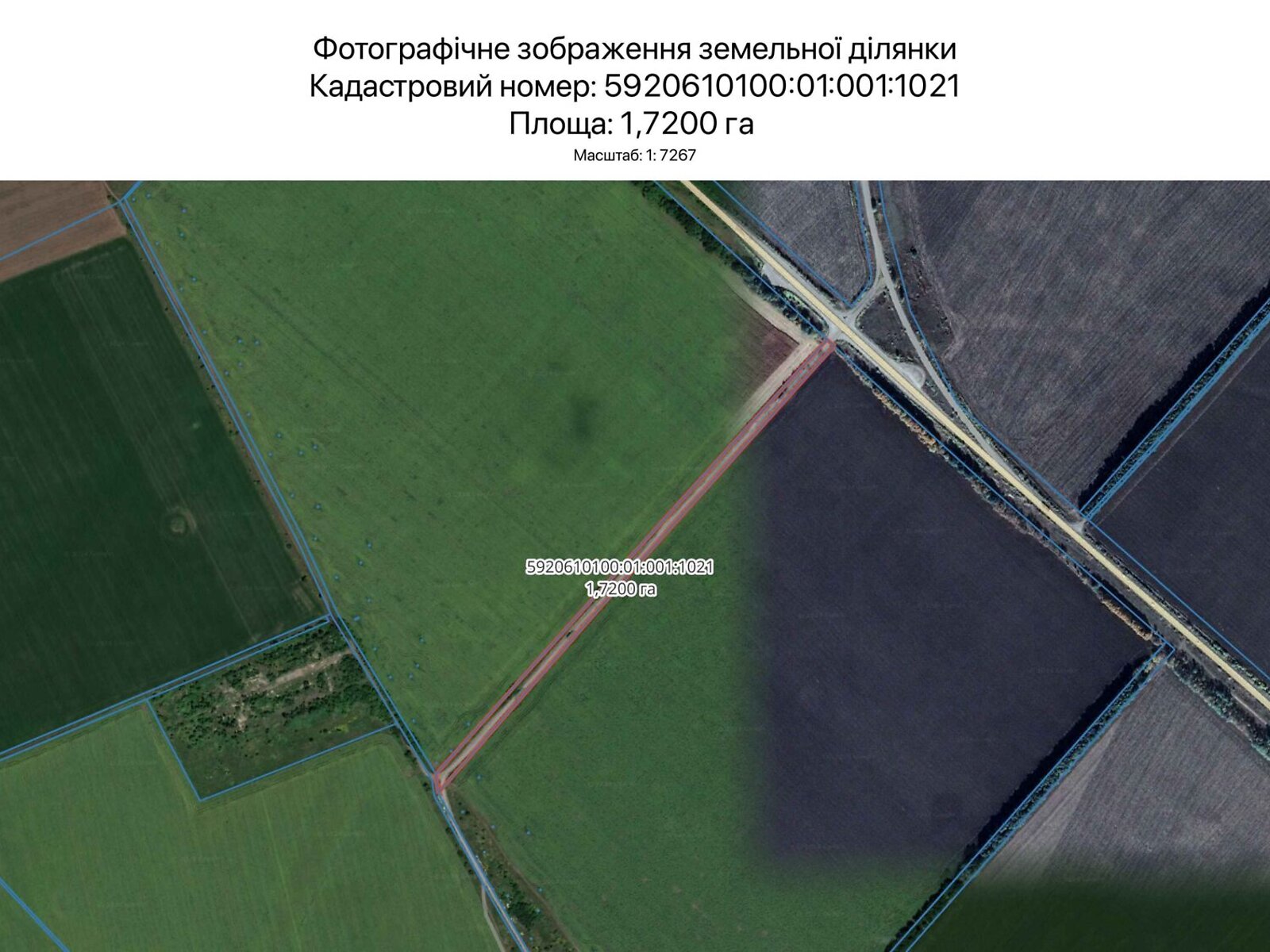Оренда землі сільськогосподарського призначення в Сумах, ціна: 7 004 грн за об’єкт фото 1