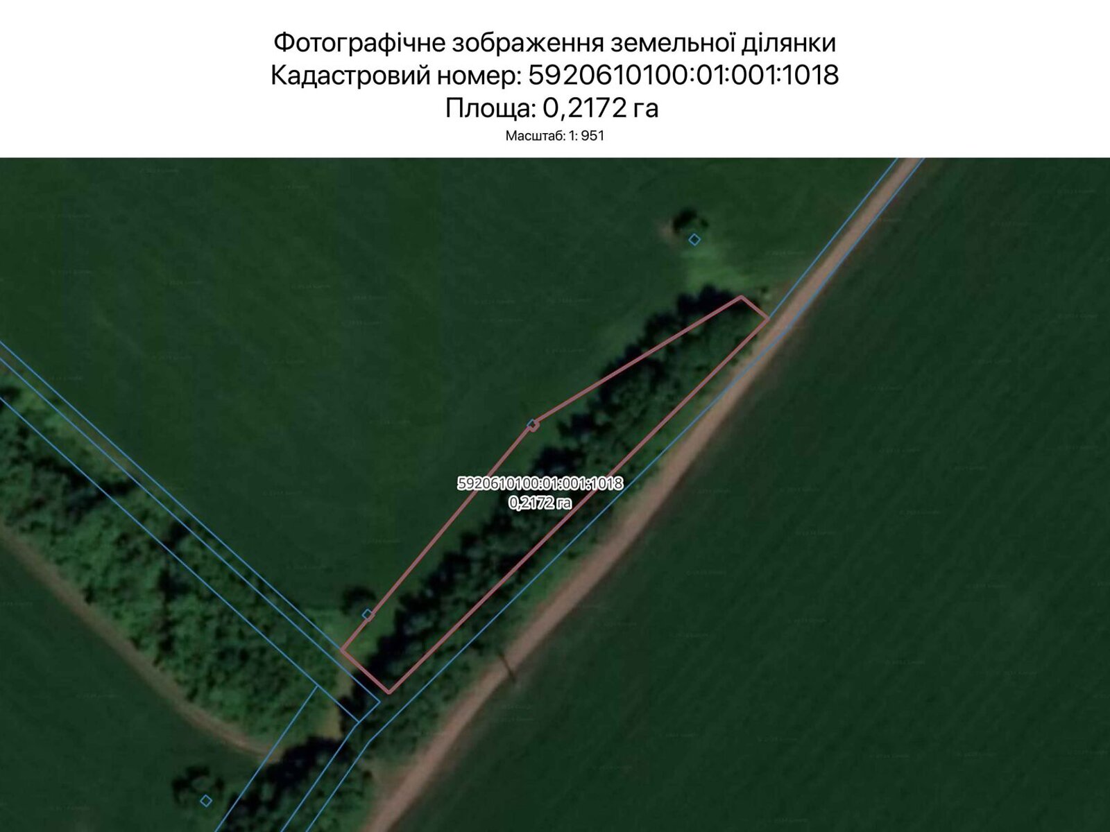 Оренда землі сільськогосподарського призначення в Сумах, ціна: 884 грн за об’єкт фото 1