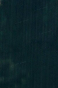 Оренда землі сільськогосподарського призначення в Супранівці, ціна: 20 000 грн за об’єкт фото 1