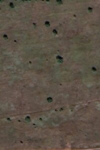 Оренда землі сільськогосподарського призначення в Супрунківцях, ціна: 15 000 грн за об’єкт фото 1 Оренда землі сільськогосподарського призначення в Супрунківцях, ціна: 15 000 грн за об’єкт фото 1