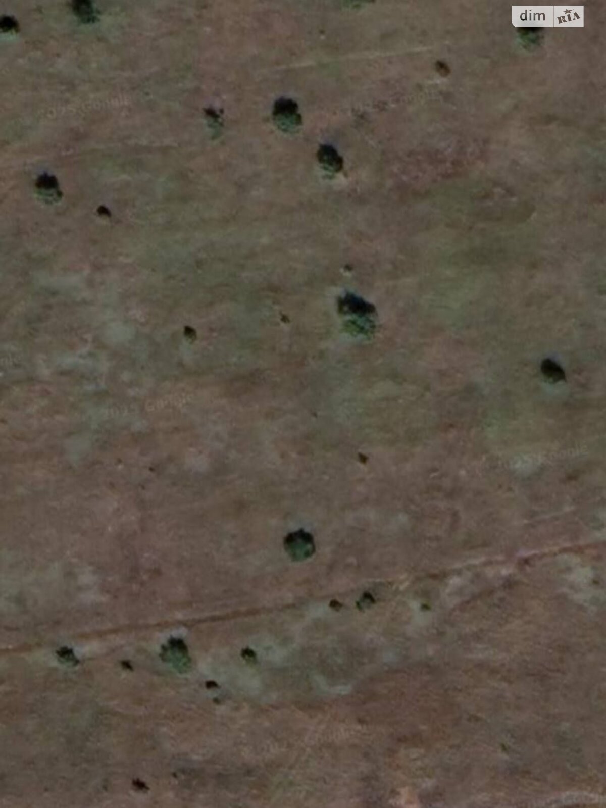 Оренда землі сільськогосподарського призначення в Супрунківцях, ціна: 15 000 грн за об’єкт фото 1 Оренда землі сільськогосподарського призначення в Супрунківцях, ціна: 15 000 грн за об’єкт фото 1