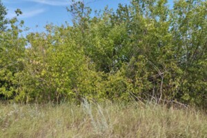 Аренда земли сельскохозяйственного назначения в Светлополе, цена: 7 414 грн за объект фото 1 Аренда земли сельскохозяйственного назначения в Светлополе, цена: 7 414 грн за объект фото 1