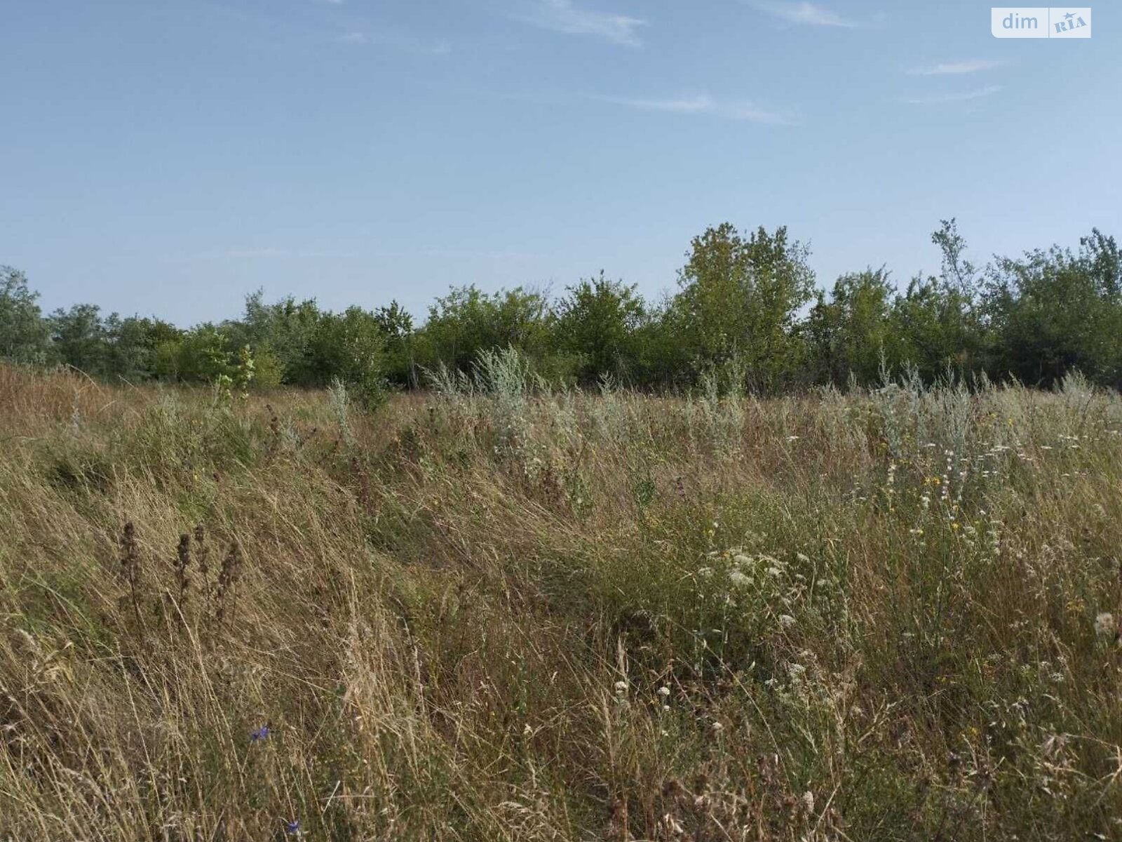 Аренда земли сельскохозяйственного назначения в Светлополе, цена: 7 414 грн за объект фото 1 Аренда земли сельскохозяйственного назначения в Светлополе, цена: 7 414 грн за объект фото 1