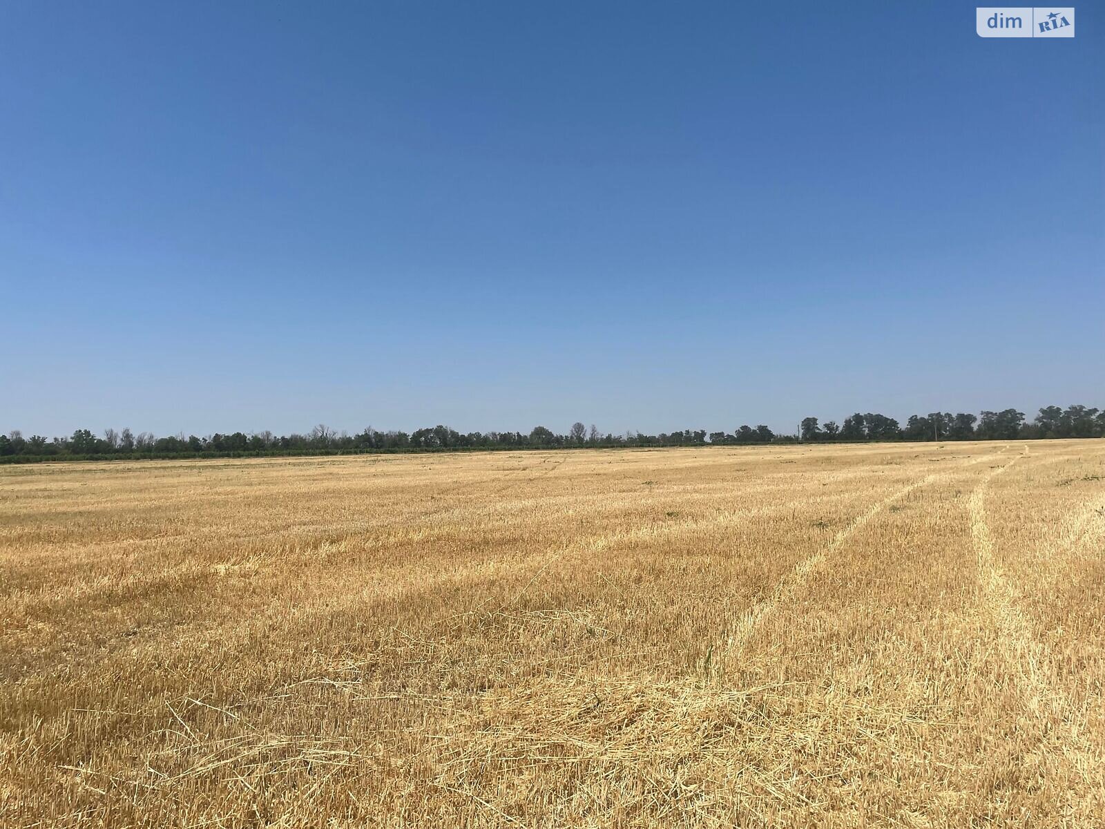 Аренда земли сельскохозяйственного назначения в Тарутине, цена: 42 756 грн за объект фото 1 Аренда земли сельскохозяйственного назначения в Тарутине, цена: 42 756 грн за объект фото 1