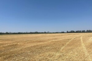 Аренда земли сельскохозяйственного назначения в Тарутине, цена: 41 380 грн за объект фото 1