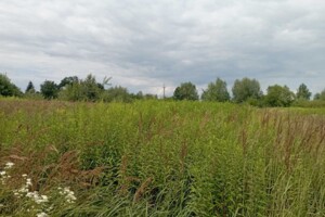 Оренда землі сільськогосподарського призначення в Татаринове, ціна: 7 295 грн за об’єкт фото 2