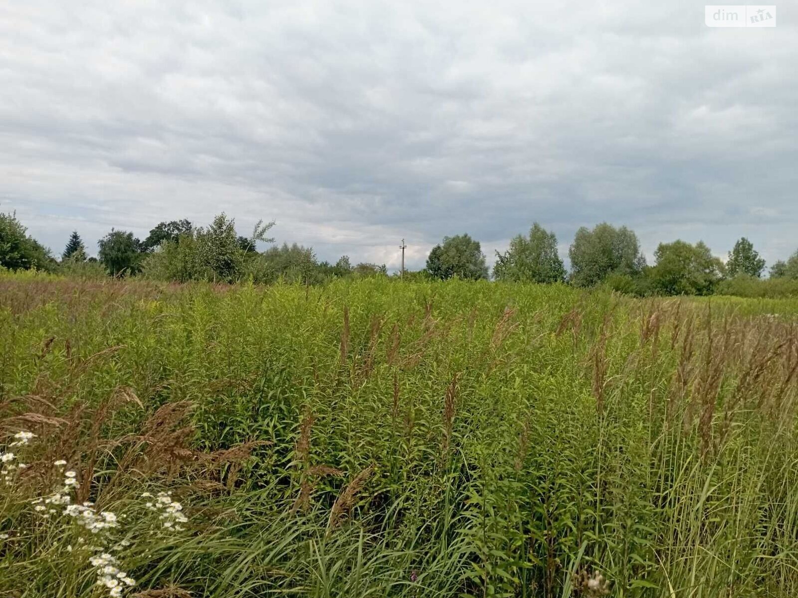 Оренда землі сільськогосподарського призначення в Татаринове, ціна: 7 295 грн за об’єкт фото 1