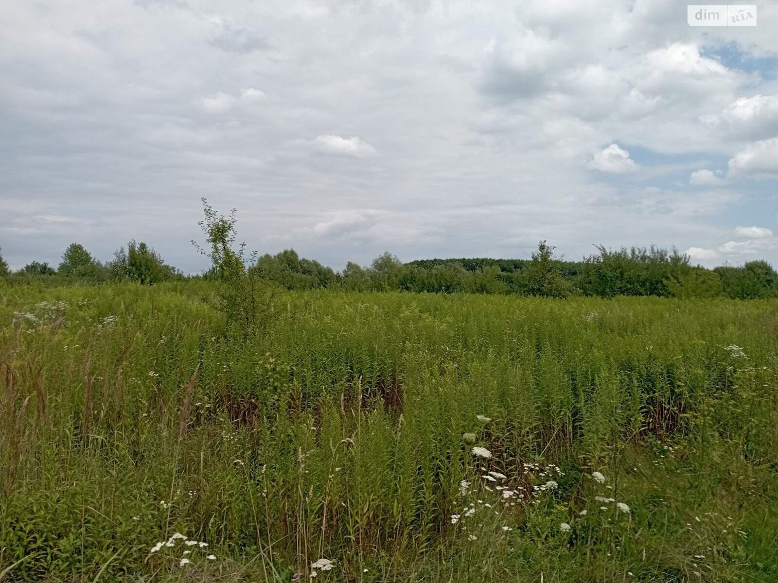 Оренда землі сільськогосподарського призначення в Татаринове, ціна: 7 295 грн за об’єкт фото 1