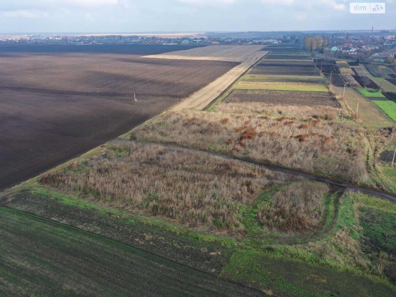 Оренда землі сільськогосподарського призначення в Теофіполі, ціна: 12 828 грн за об’єкт фото 1