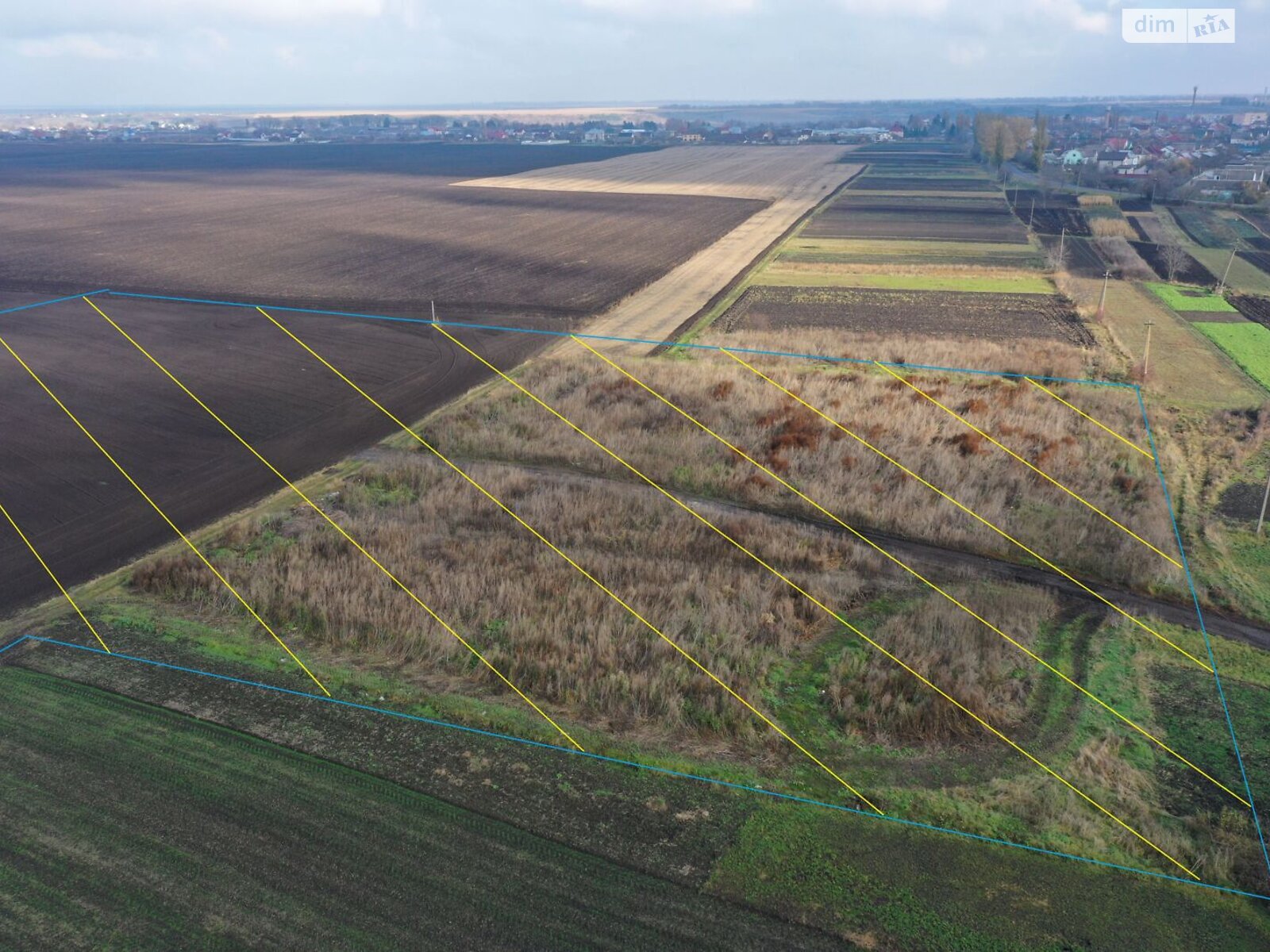 Оренда землі сільськогосподарського призначення в Теофіполі, ціна: 12 828 грн за об’єкт фото 1