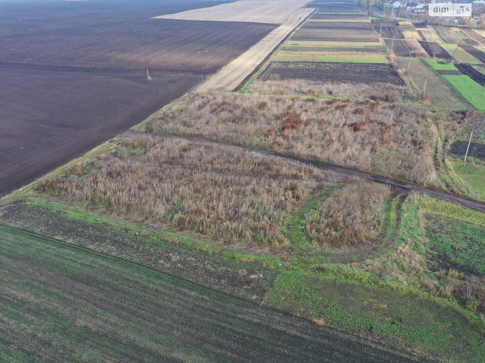 Оренда землі сільськогосподарського призначення в Теофіполі, ціна: 12 828 грн за об’єкт фото 1