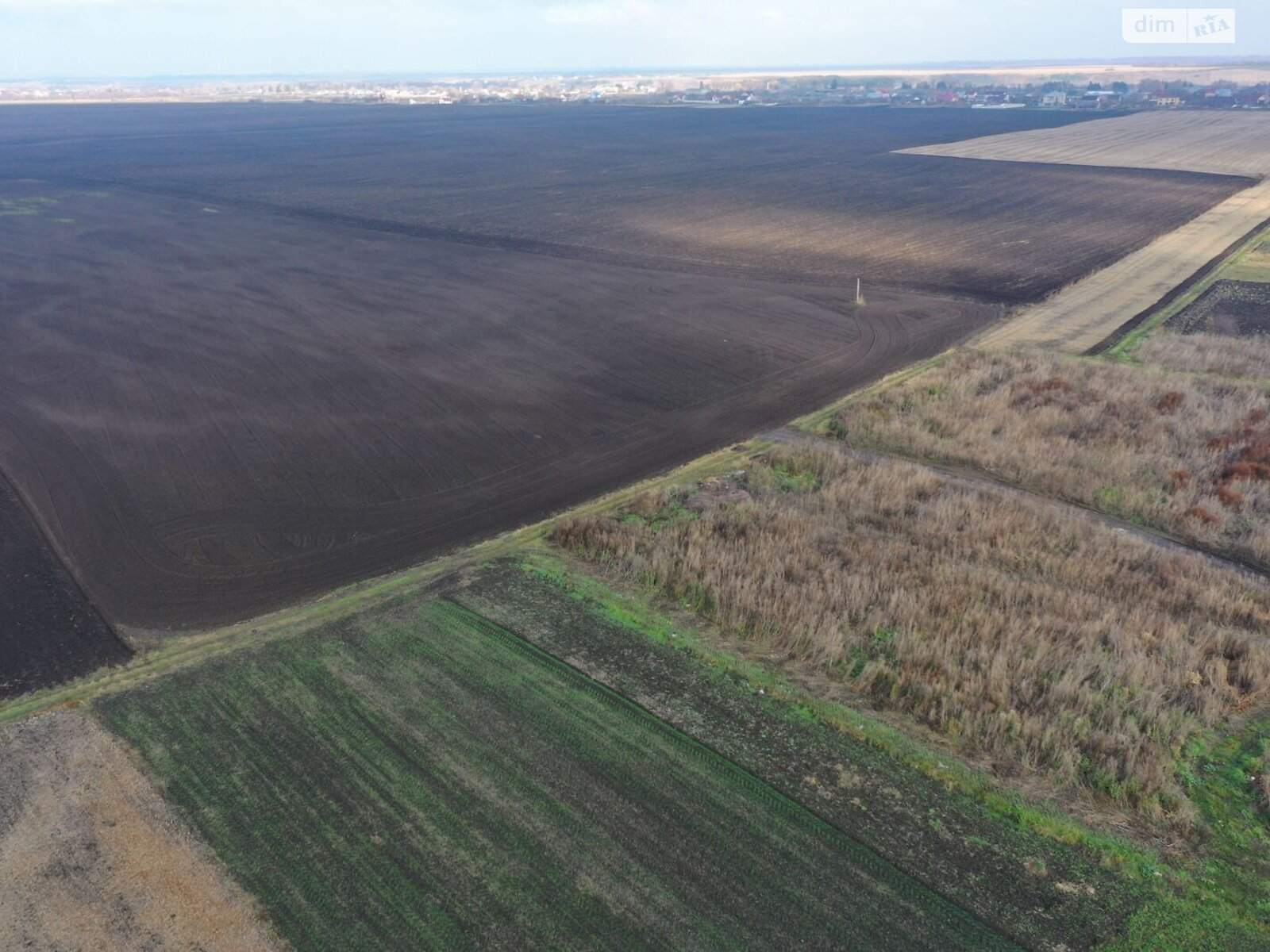 Оренда землі сільськогосподарського призначення в Теофіполі, ціна: 12 828 грн за об’єкт фото 1