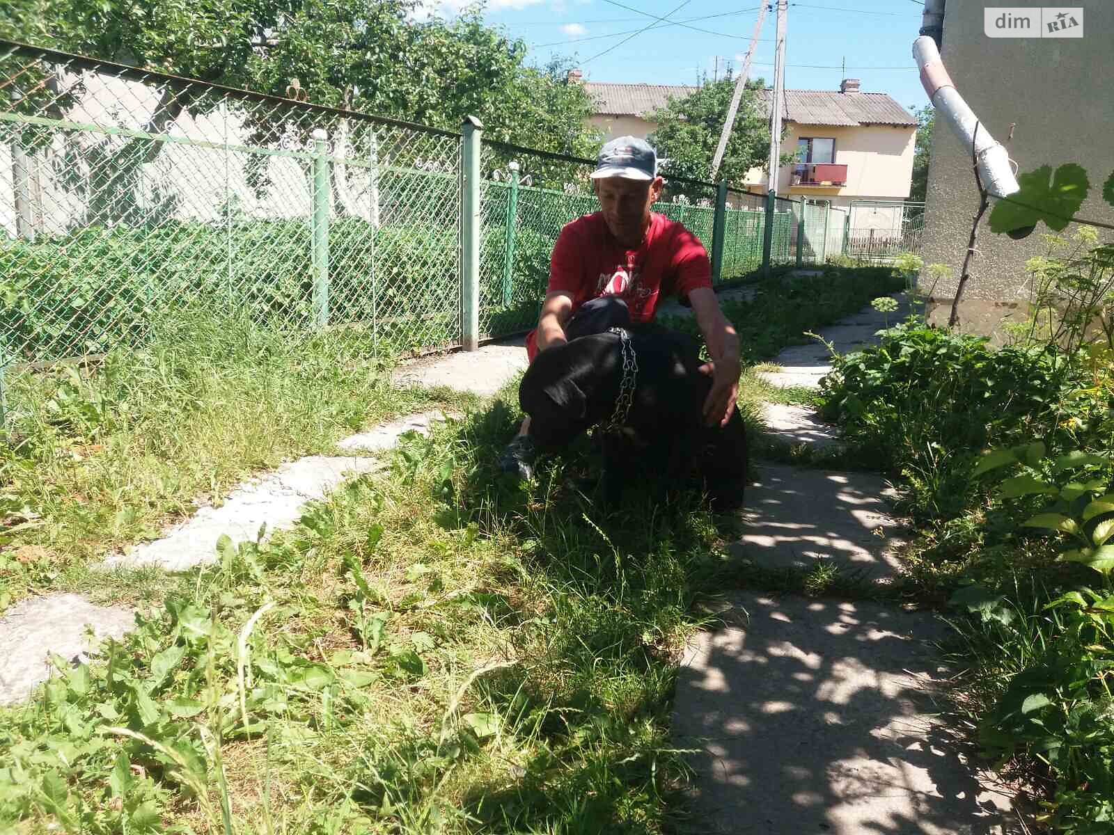 Аренда земли сельскохозяйственного назначения в Тернополе, цена: 2 100 грн за объект фото 1