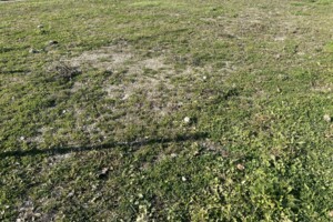 Аренда земли сельскохозяйственного назначения в Тернополе, цена: 12 000 грн за объект фото 2