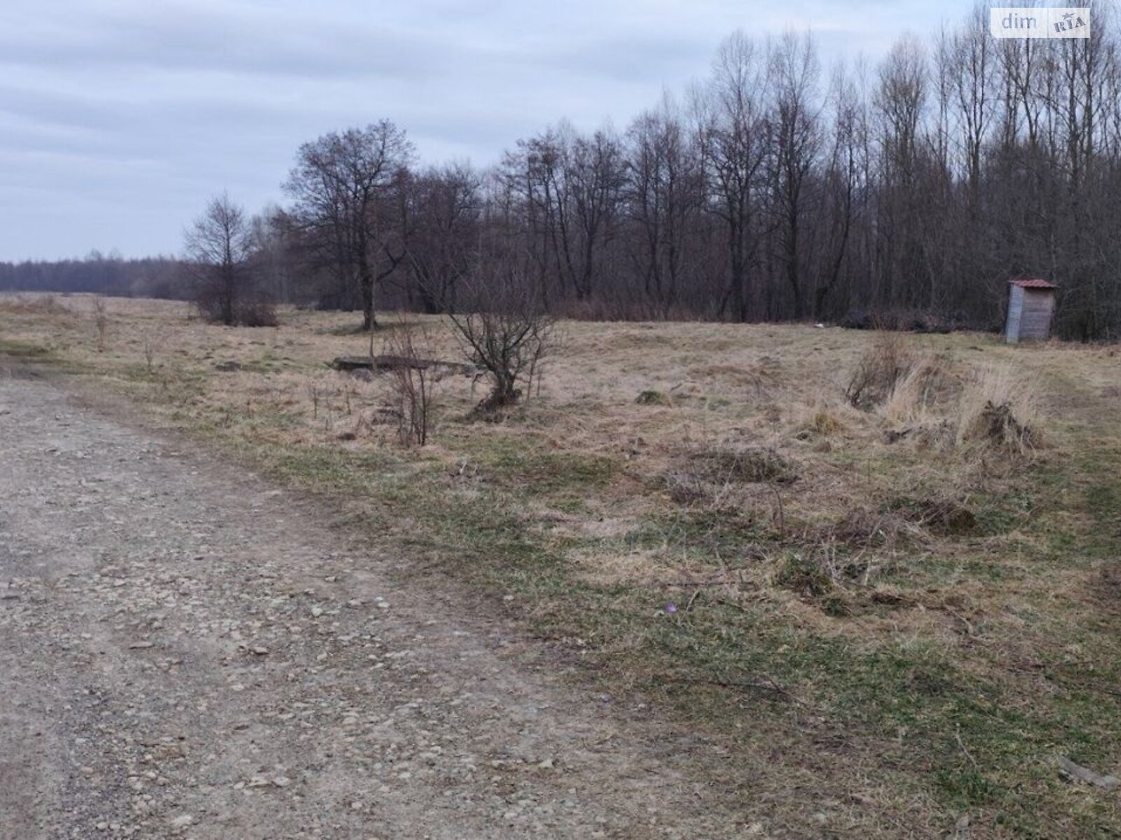 Оренда землі сільськогосподарського призначення в Тисові, ціна: 17 336 грн за об’єкт фото 1 Оренда землі сільськогосподарського призначення в Тисові, ціна: 17 336 грн за об’єкт фото 1