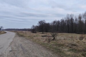 Оренда землі сільськогосподарського призначення в Тисові, ціна: 17 336 грн за об’єкт фото 2 Оренда землі сільськогосподарського призначення в Тисові, ціна: 17 336 грн за об’єкт фото 2