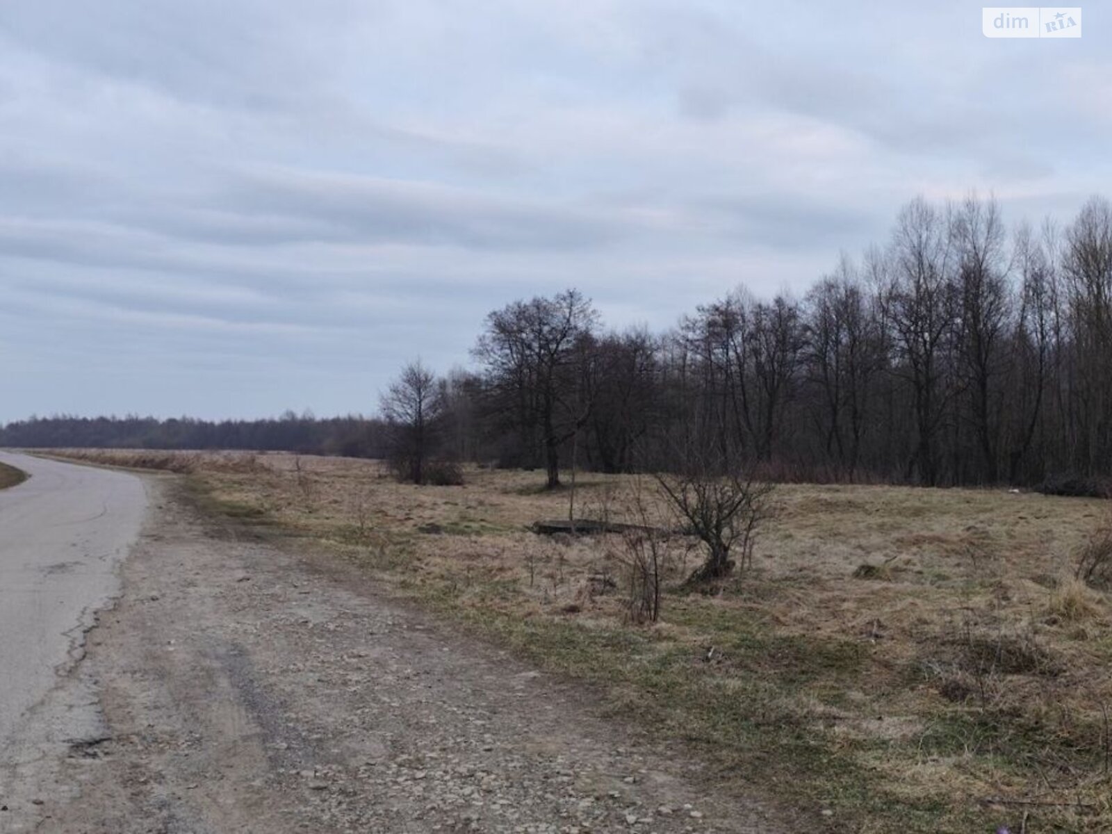 Оренда землі сільськогосподарського призначення в Тисові, ціна: 17 336 грн за об’єкт фото 1 Оренда землі сільськогосподарського призначення в Тисові, ціна: 17 336 грн за об’єкт фото 1
