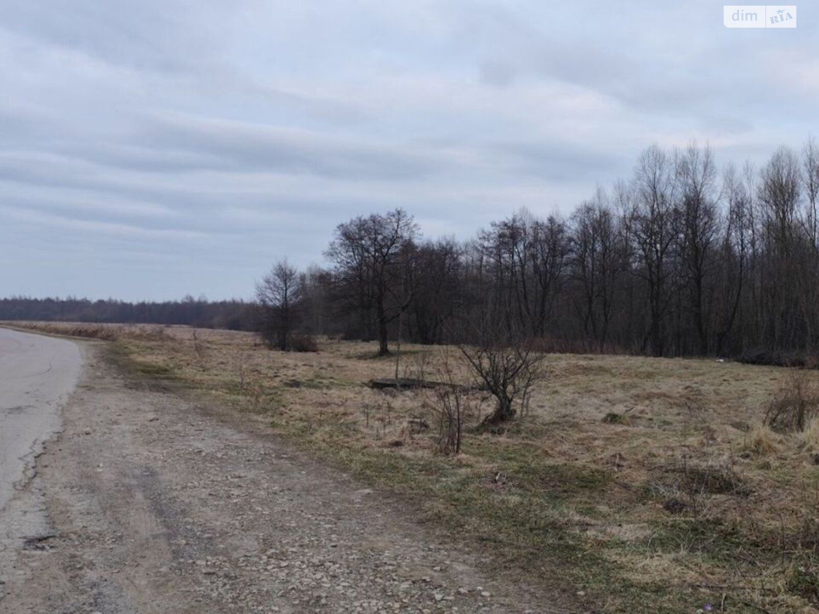 Оренда землі сільськогосподарського призначення в Тисові, ціна: 17 336 грн за об’єкт фото 1 Оренда землі сільськогосподарського призначення в Тисові, ціна: 17 336 грн за об’єкт фото 1