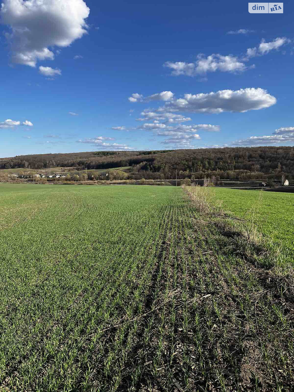 Аренда земли сельскохозяйственного назначения в Тростянце, цена: 12 696 грн за объект фото 1