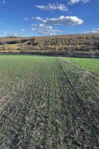 Аренда земли сельскохозяйственного назначения в Тростянце, цена: 12 696 грн за объект фото 2