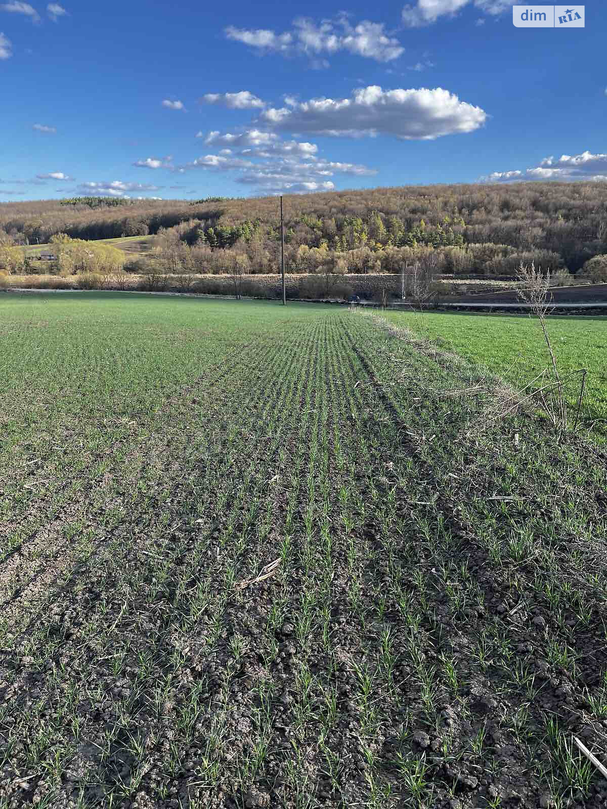 Аренда земли сельскохозяйственного назначения в Тростянце, цена: 12 696 грн за объект фото 1