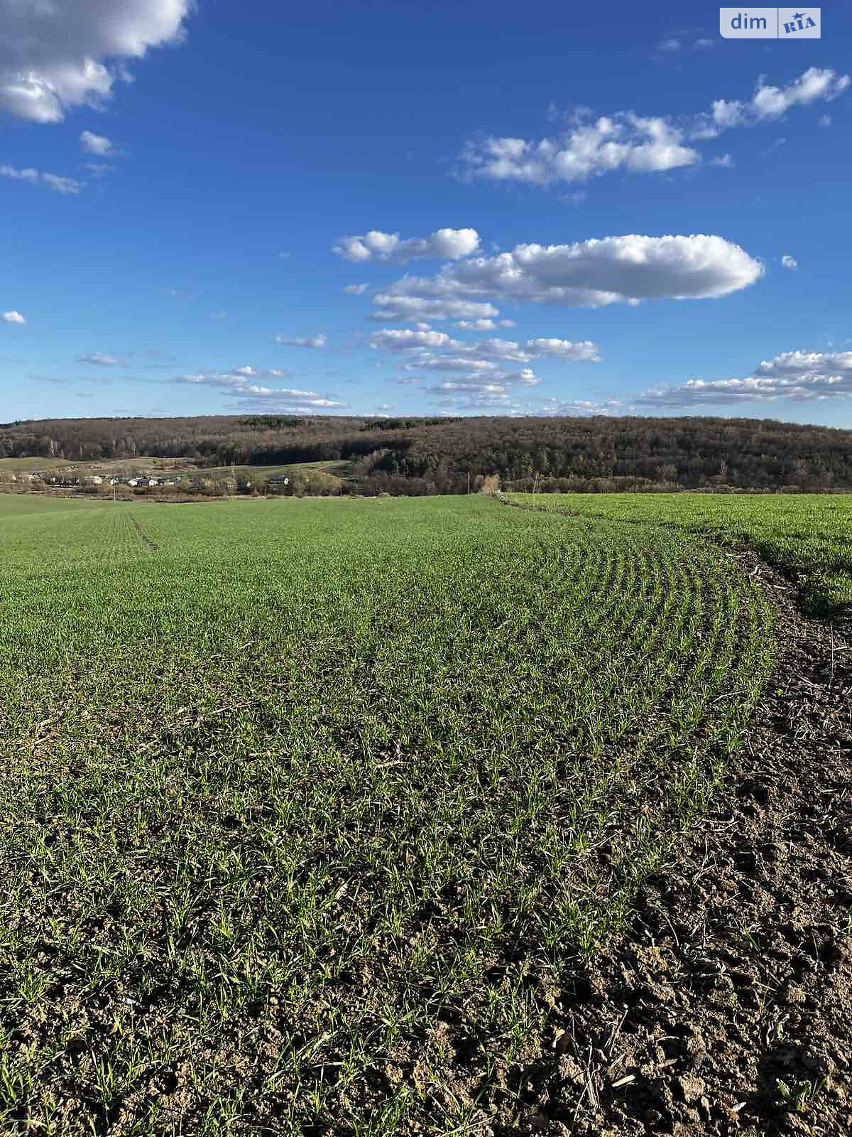 Аренда земли сельскохозяйственного назначения в Тростянце, цена: 12 696 грн за объект фото 1