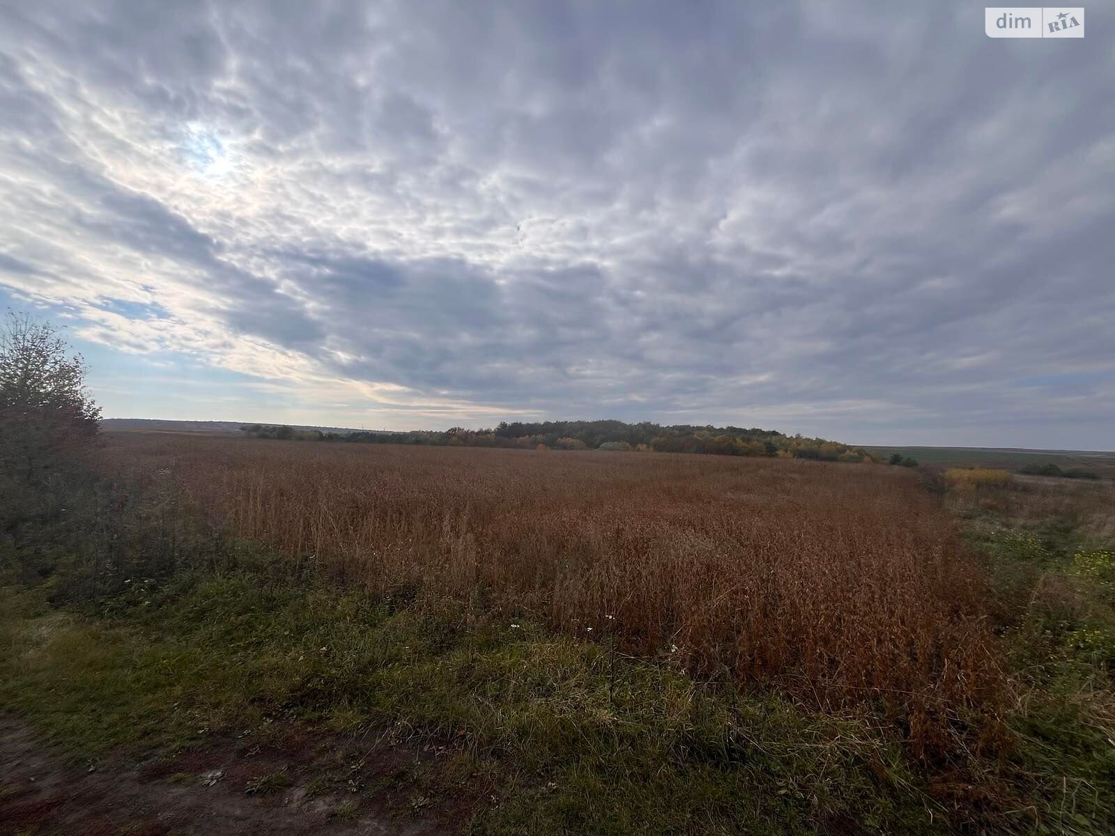 Аренда земли сельскохозяйственного назначения в Тростянце, цена: 95 840 грн за объект фото 1