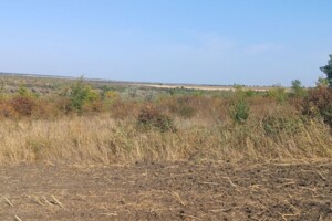 Аренда земли сельскохозяйственного назначения в Цехановке, цена: 43 370 грн за объект фото 2 Аренда земли сельскохозяйственного назначения в Цехановке, цена: 43 370 грн за объект фото 2