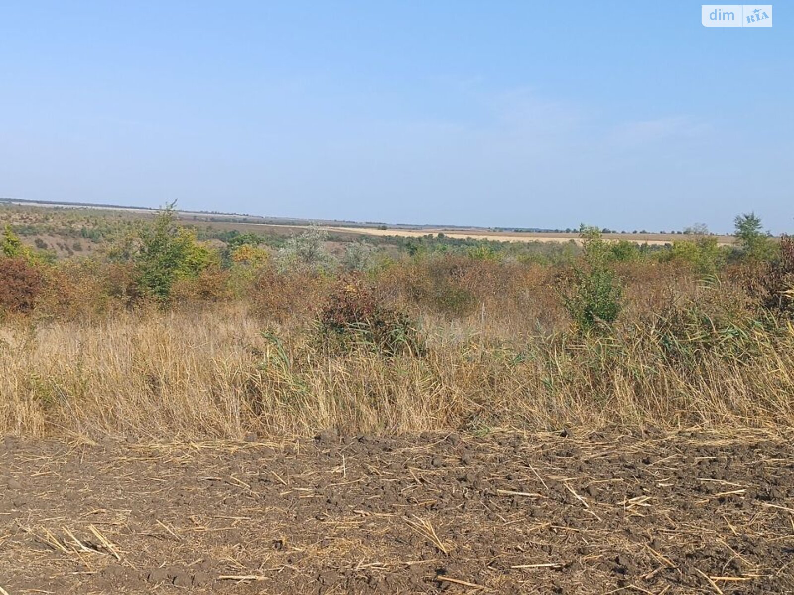 Аренда земли сельскохозяйственного назначения в Цехановке, цена: 43 370 грн за объект фото 1 Аренда земли сельскохозяйственного назначения в Цехановке, цена: 43 370 грн за объект фото 1