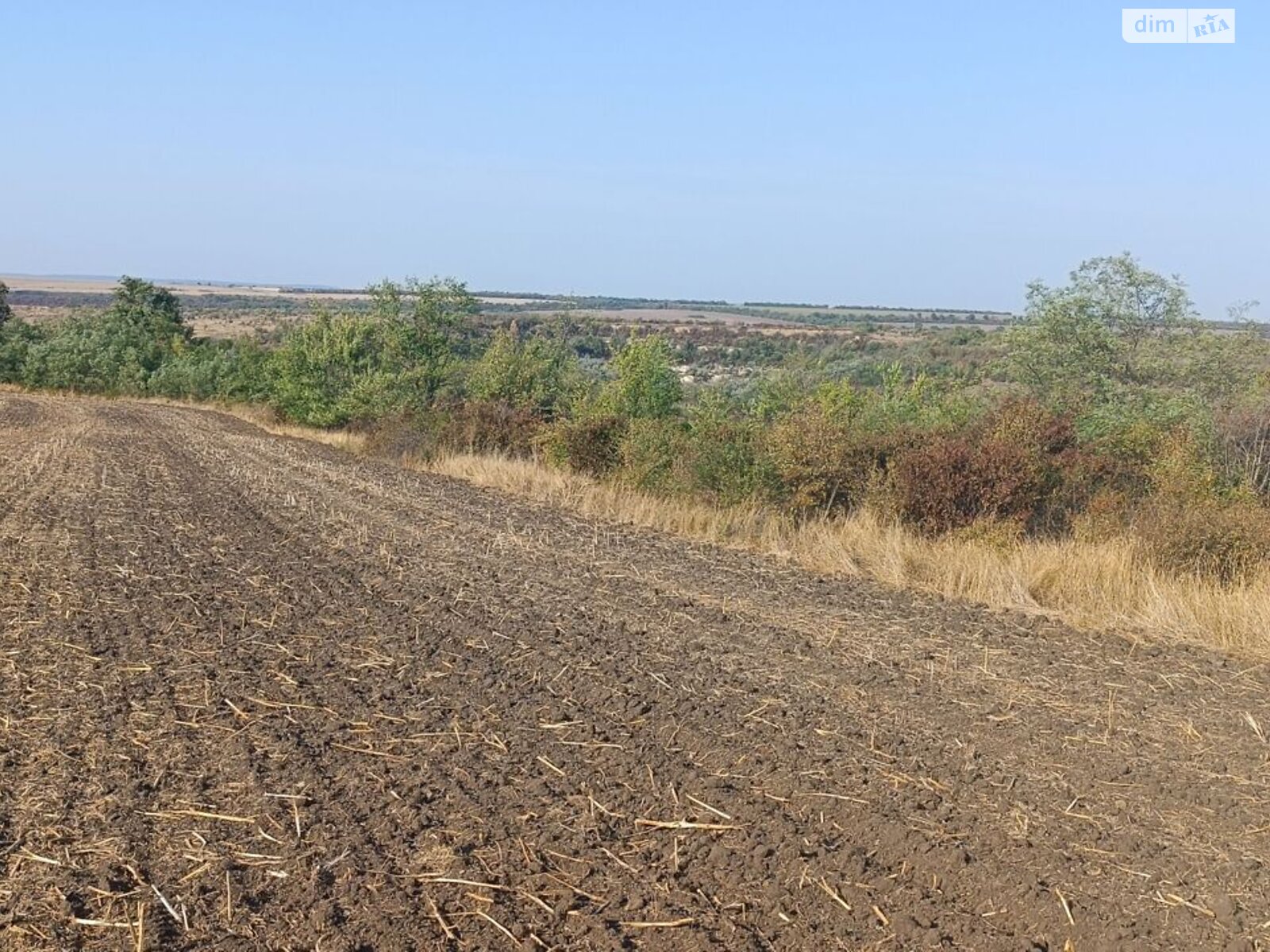 Аренда земли сельскохозяйственного назначения в Цехановке, цена: 43 370 грн за объект фото 1 Аренда земли сельскохозяйственного назначения в Цехановке, цена: 43 370 грн за объект фото 1