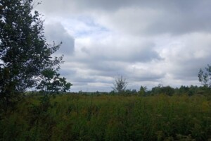 Оренда землі сільськогосподарського призначення в Цетулі, ціна: 3 732 грн за об’єкт фото 2