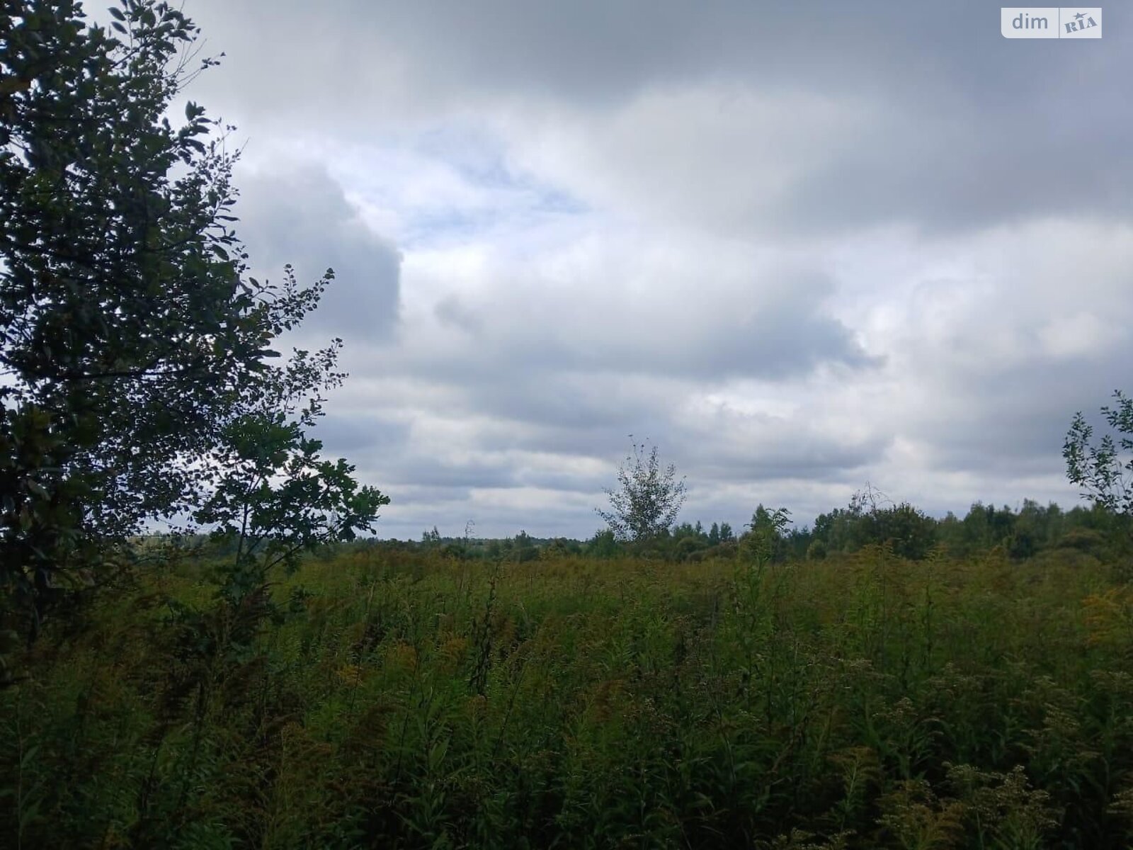 Оренда землі сільськогосподарського призначення в Цетулі, ціна: 3 732 грн за об’єкт фото 1