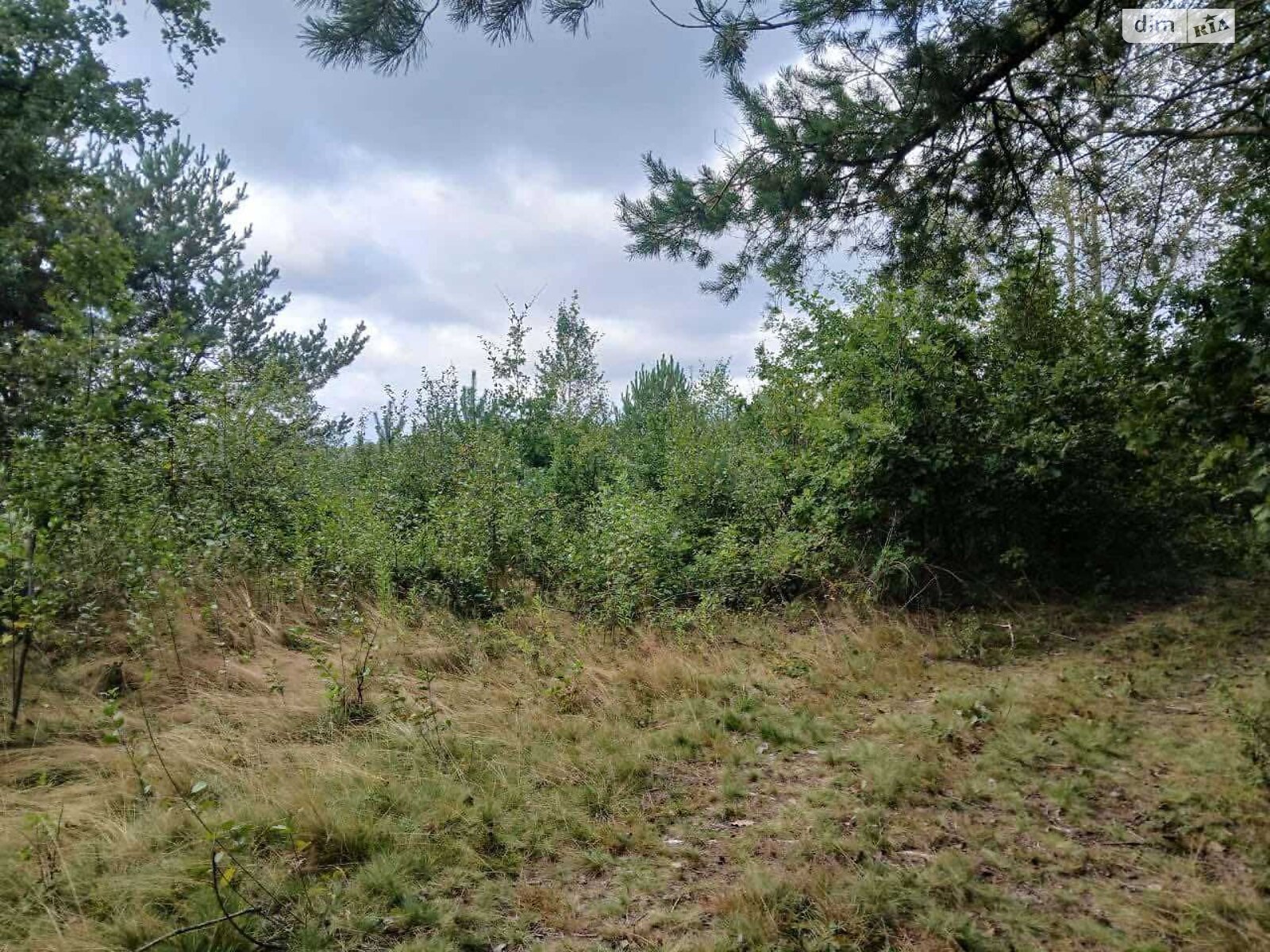 Оренда землі сільськогосподарського призначення в Цетулі, ціна: 3 732 грн за об’єкт фото 1