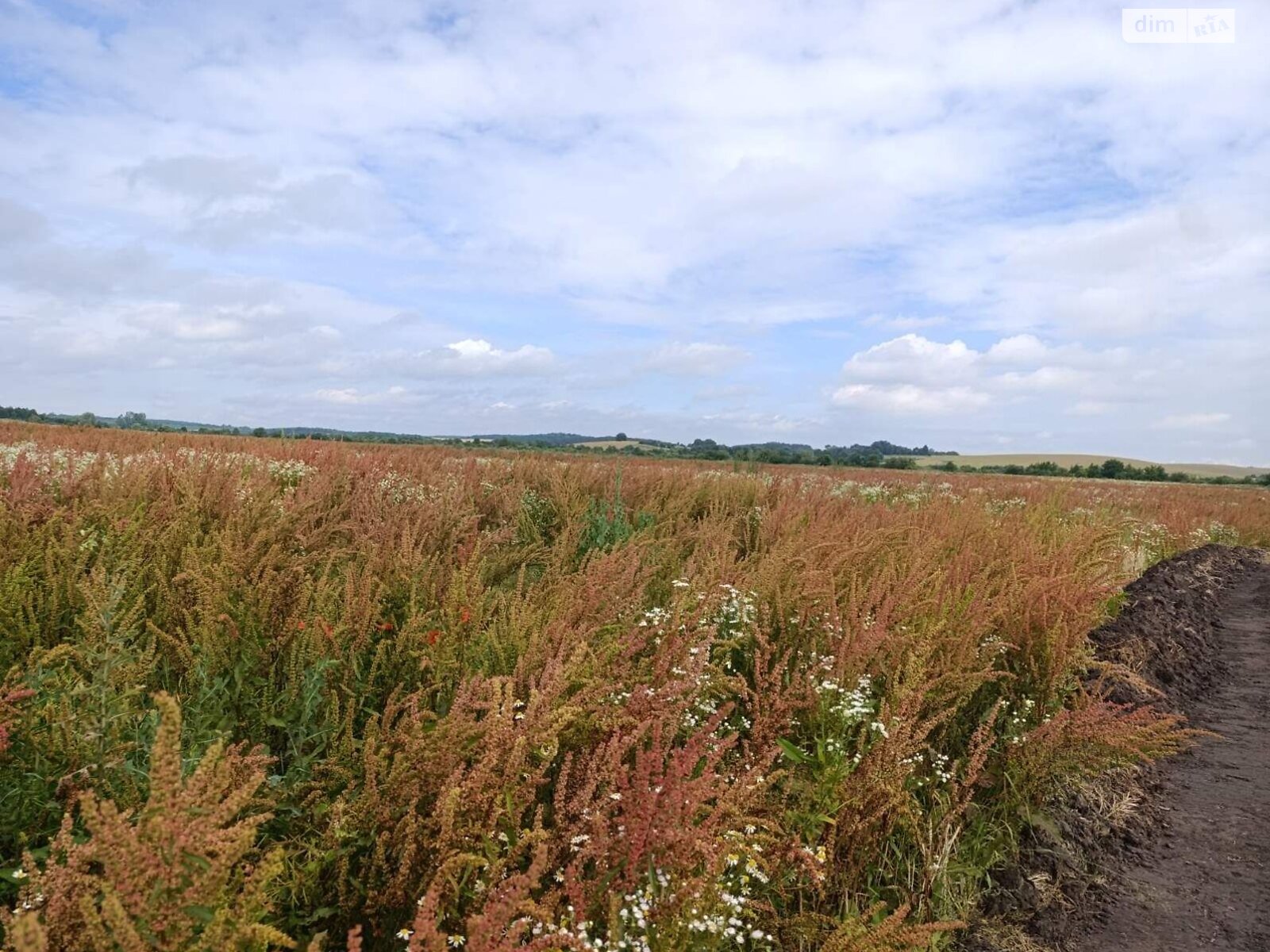 Оренда землі сільськогосподарського призначення в Тучапах, ціна: 50 420 грн за об’єкт фото 1 Оренда землі сільськогосподарського призначення в Тучапах, ціна: 50 420 грн за об’єкт фото 1