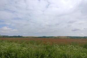 Оренда землі сільськогосподарського призначення в Тучапах, ціна: 50 420 грн за об’єкт фото 1 Оренда землі сільськогосподарського призначення в Тучапах, ціна: 50 420 грн за об’єкт фото 1