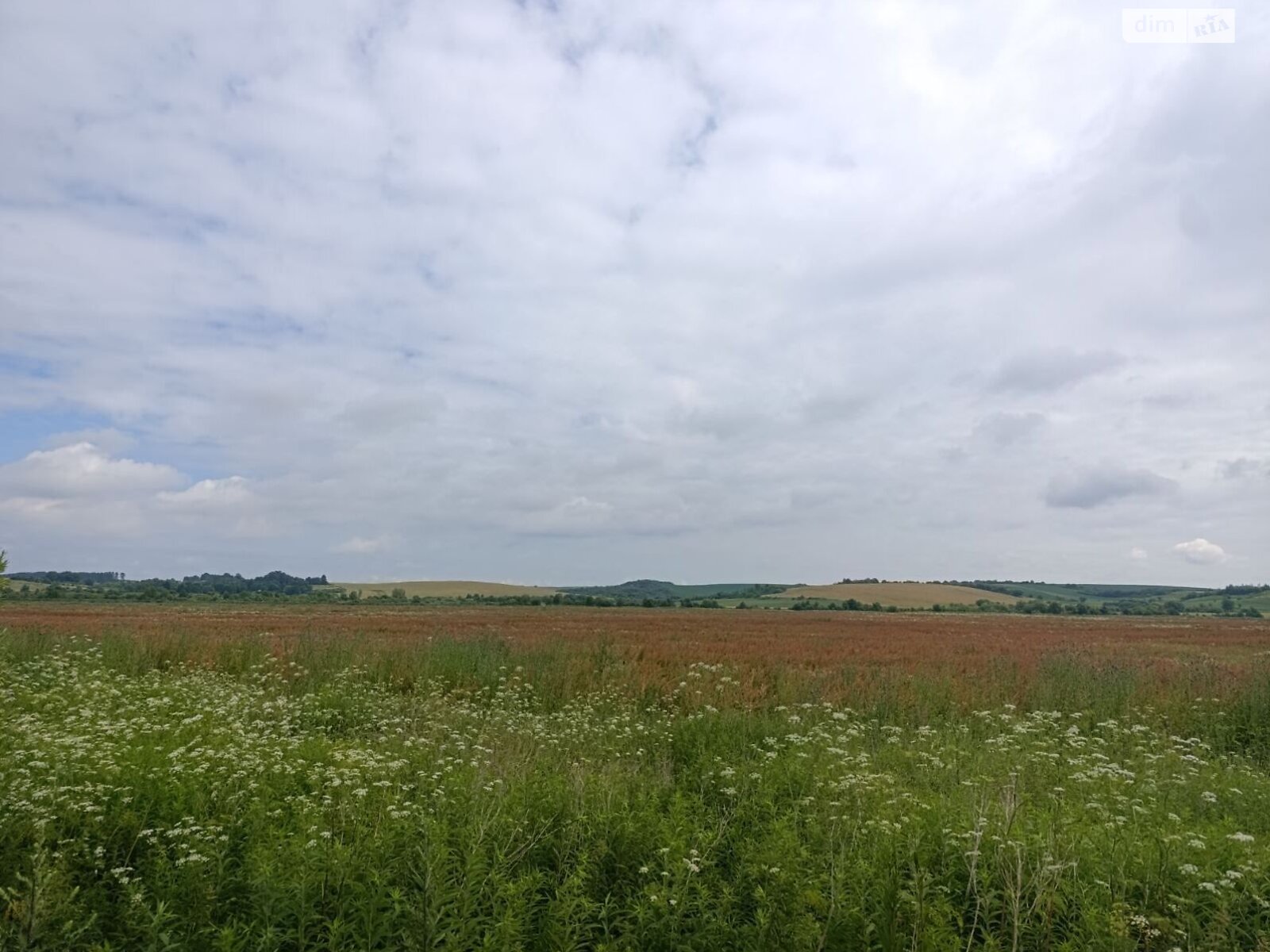 Оренда землі сільськогосподарського призначення в Тучапах, ціна: 50 420 грн за об’єкт фото 1 Оренда землі сільськогосподарського призначення в Тучапах, ціна: 50 420 грн за об’єкт фото 1