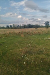 Оренда землі сільськогосподарського призначення в Удрицьку, ціна: 8 912 грн за об’єкт фото 1 Оренда землі сільськогосподарського призначення в Удрицьку, ціна: 8 912 грн за об’єкт фото 1