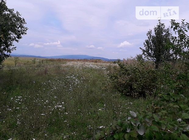 Аренда земли сельскохозяйственного назначения в селе Дубровка, цена: 15 000 грн за объект фото 1 Аренда земли сельскохозяйственного назначения в селе Дубровка, цена: 15 000 грн за объект фото 1