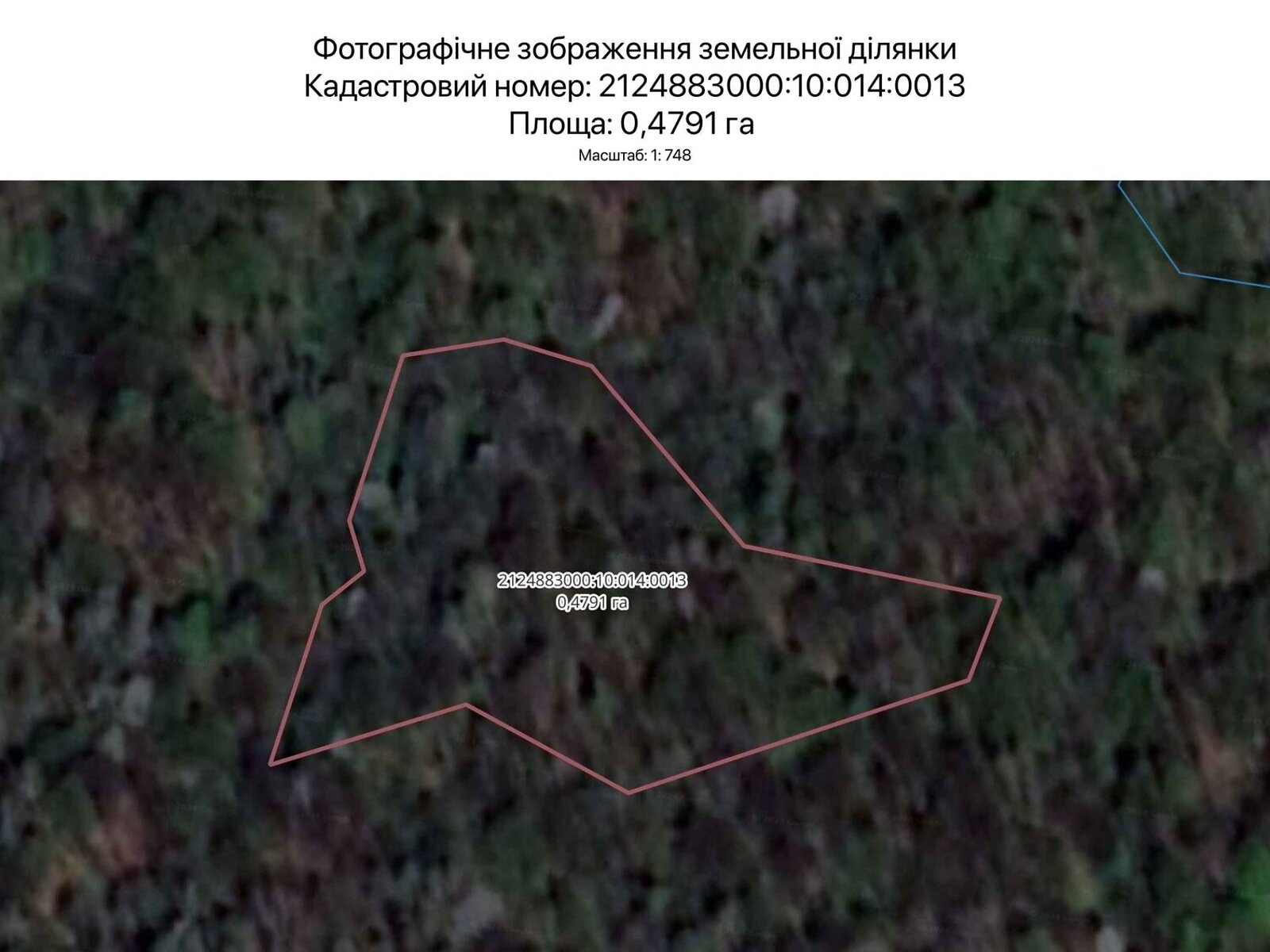 Аренда земли сельскохозяйственного назначения в Ужгороде, цена: 294 грн за объект фото 1 Аренда земли сельскохозяйственного назначения в Ужгороде, цена: 294 грн за объект фото 1