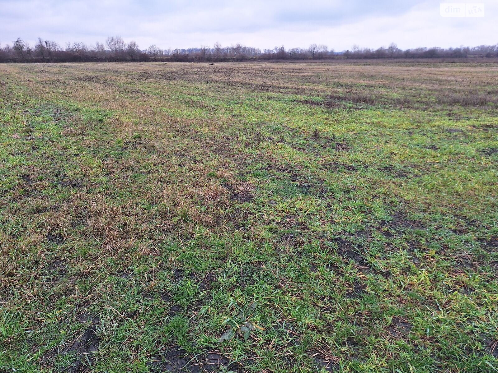 Аренда земли сельскохозяйственного назначения в Вашковцах, цена: 31 018 грн за объект фото 1